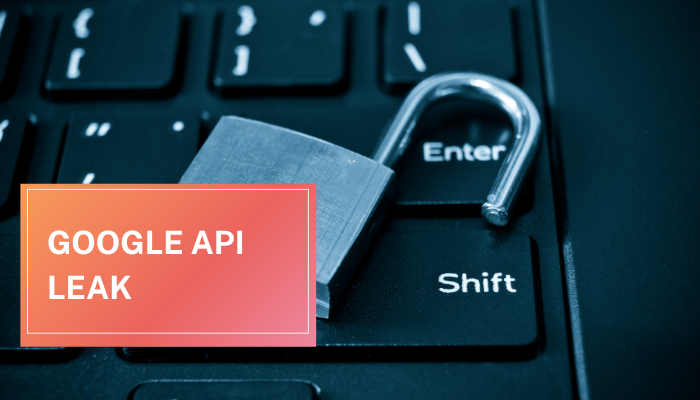Google API Leak: Comprehensive Review and Guidance
